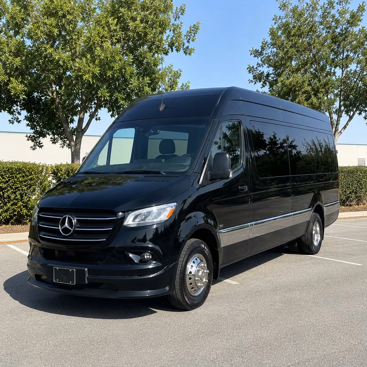 sprinter van with driver
